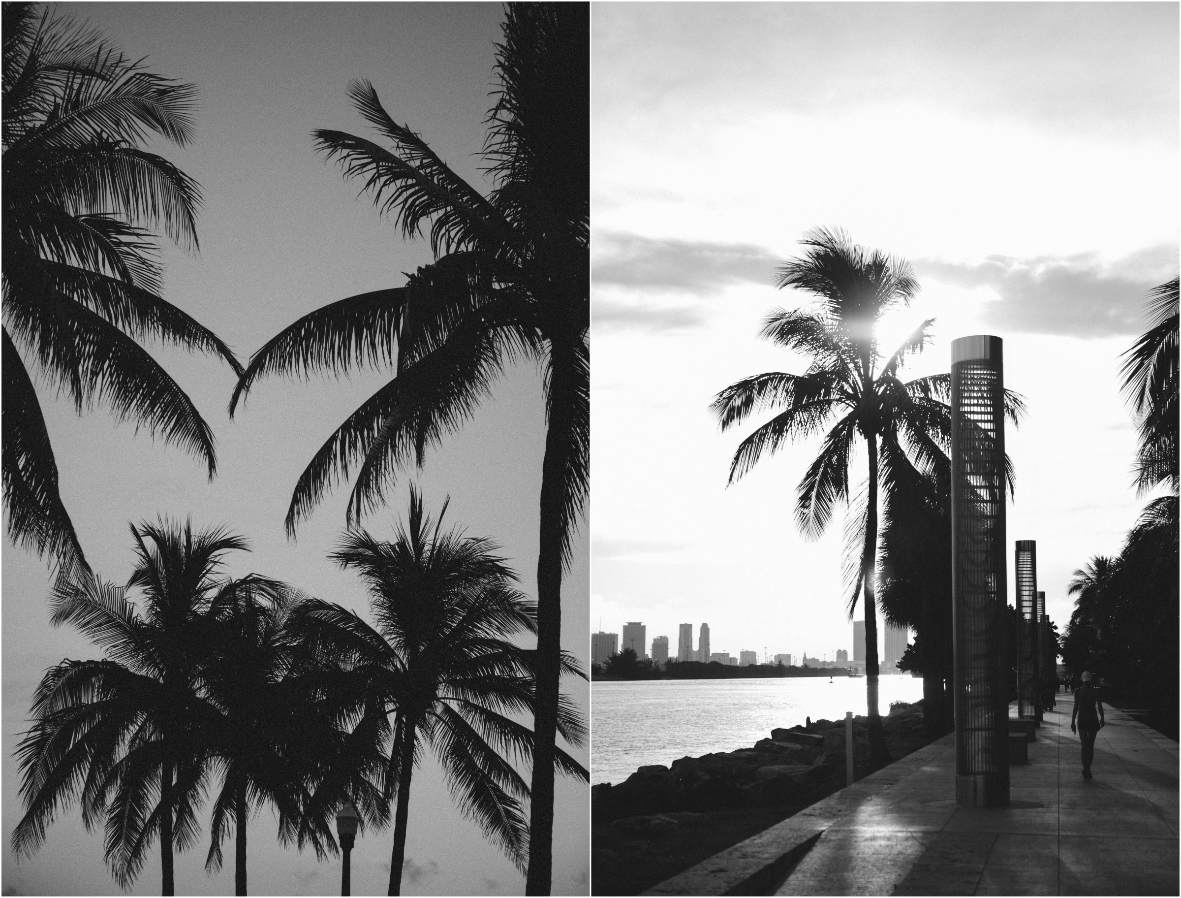 southbeach_collage-1