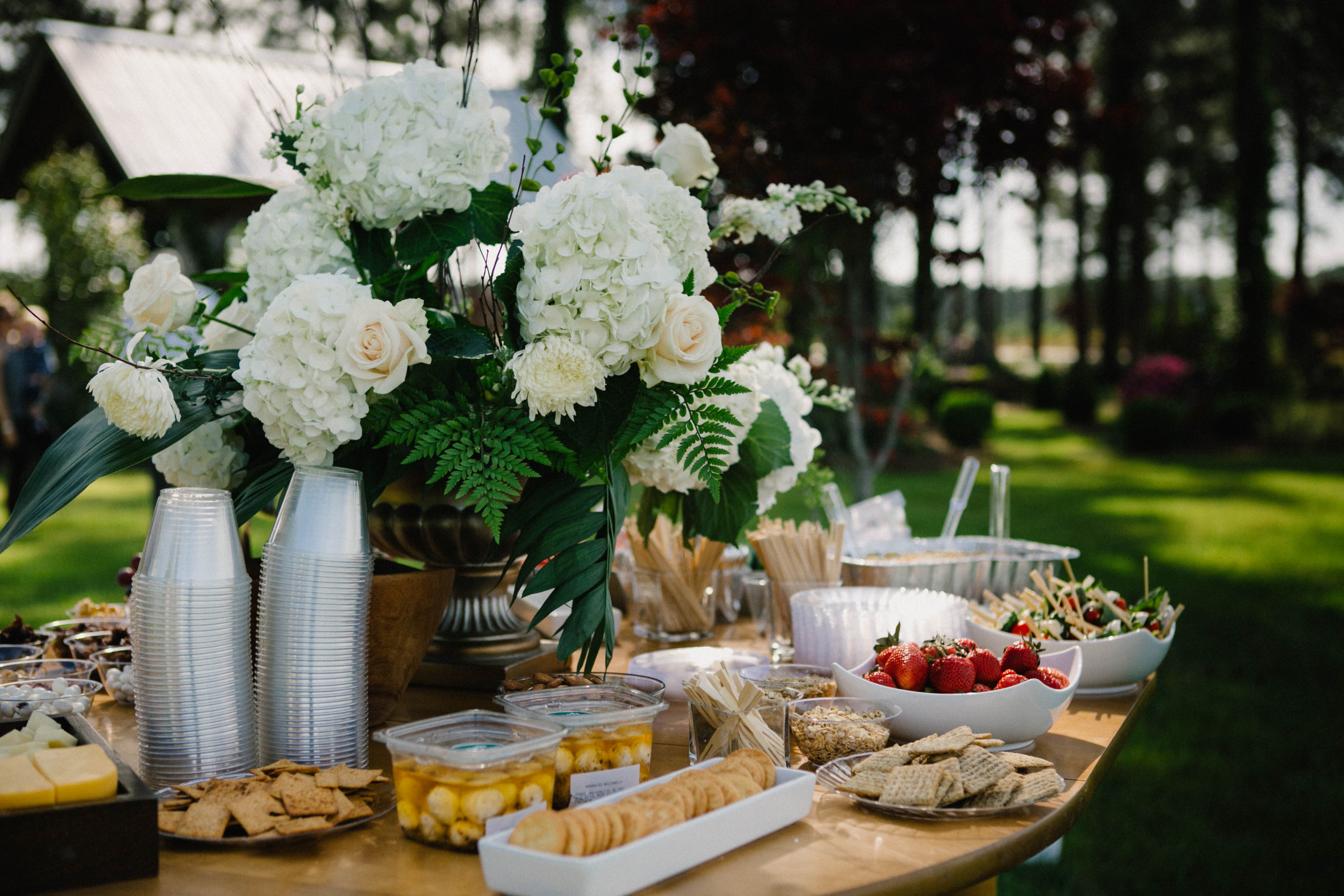 Tallahassee Florida Wedding Photographer Photography Carolyn Allen