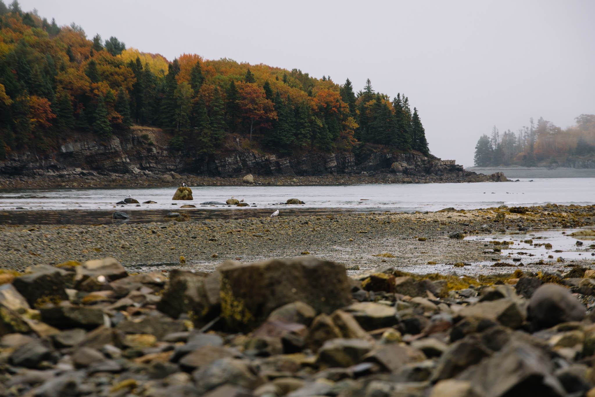 bar_harbor_day_1-19