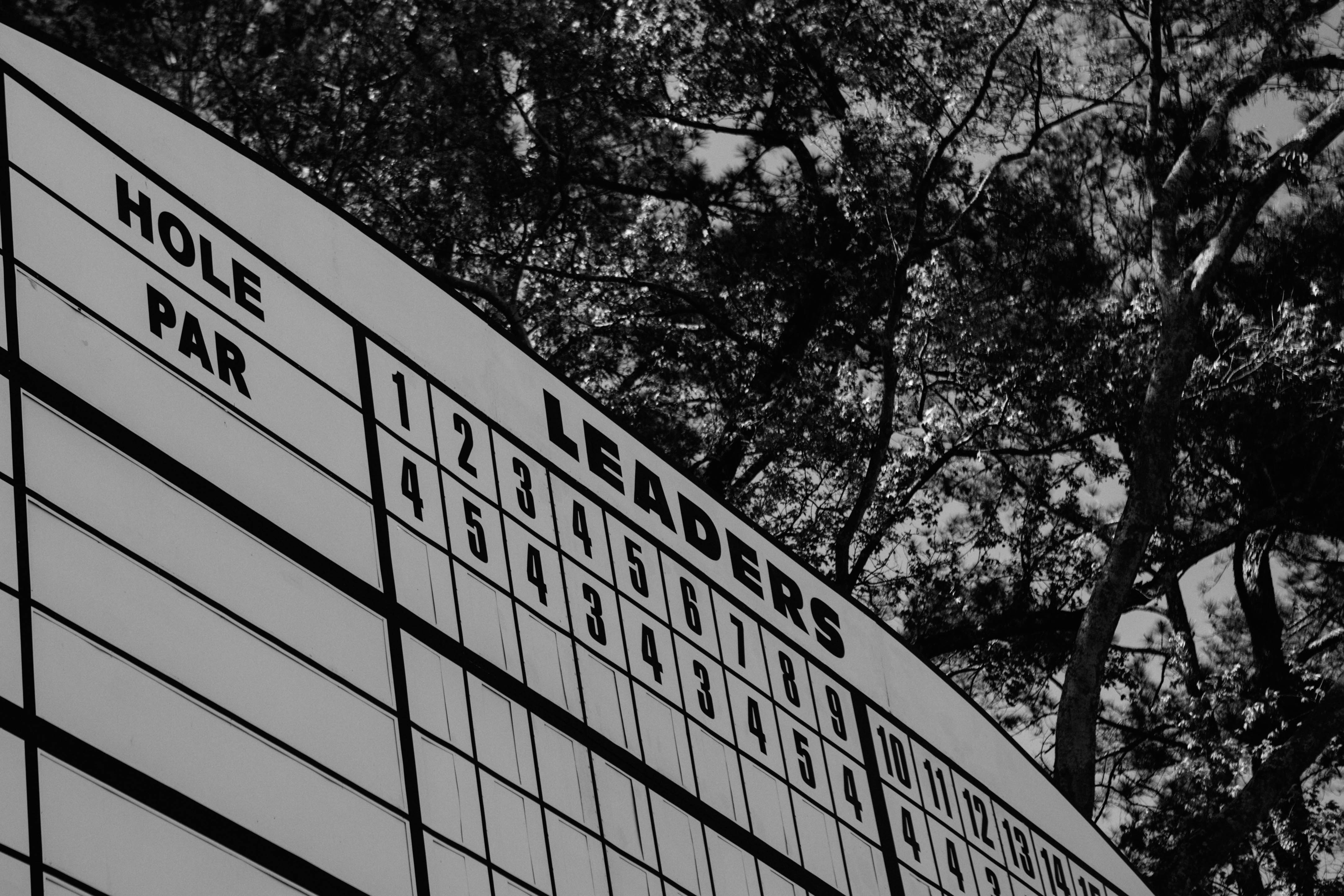 Augusta National Masters 2017 Photography Photographer Carolyn Allen