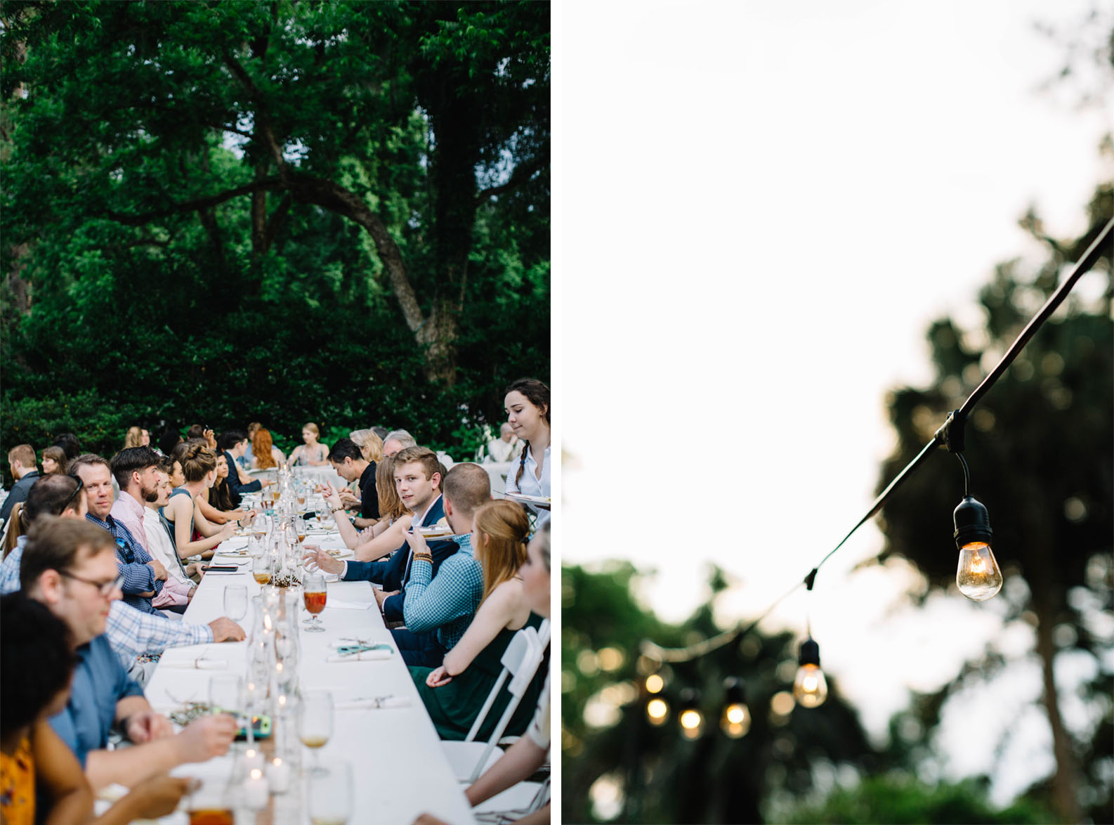 Tallahassee Alfred B. Maclay Gardens State Park Wedding, Carolyn Allen Photography