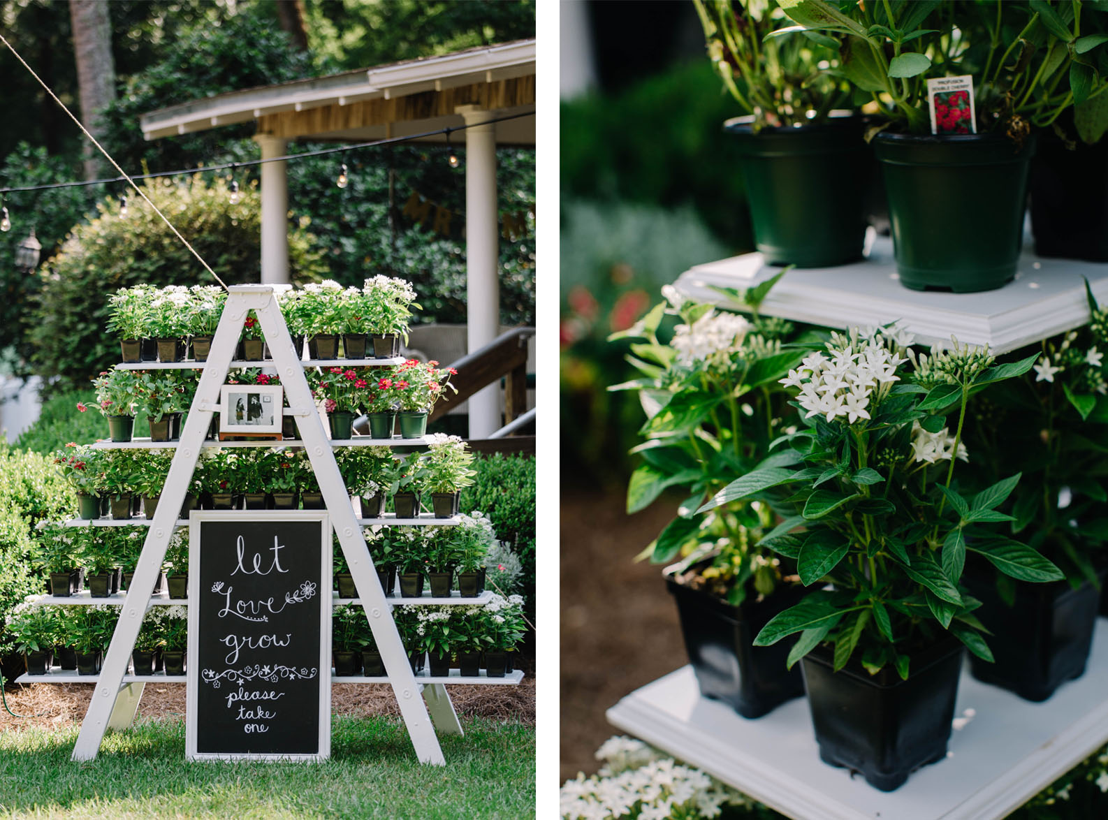 Tallahassee Alfred B. Maclay Gardens State Park Wedding, Carolyn Allen Photography