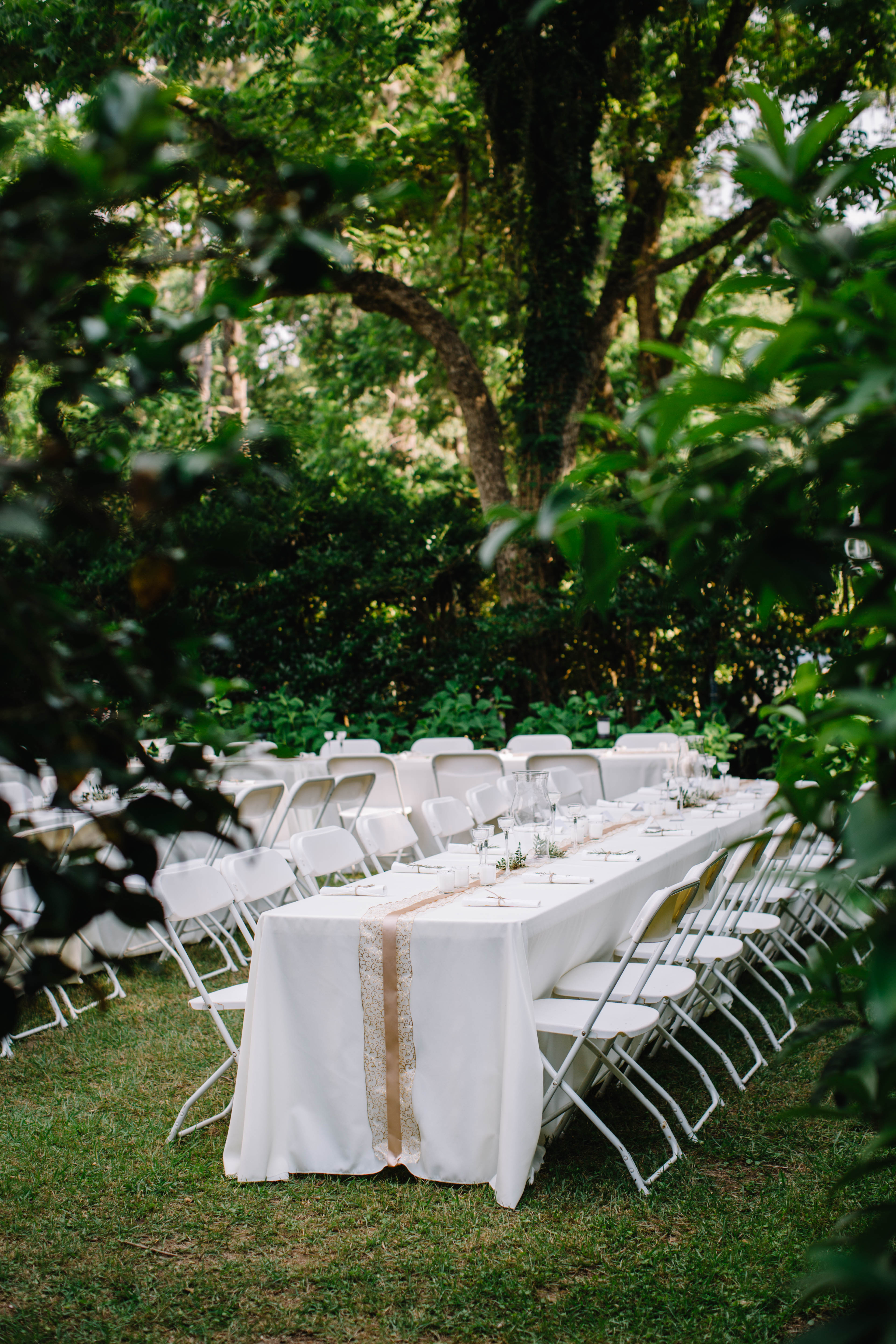 Tallahassee Alfred B. Maclay Gardens State Park Wedding, Carolyn Allen Photography