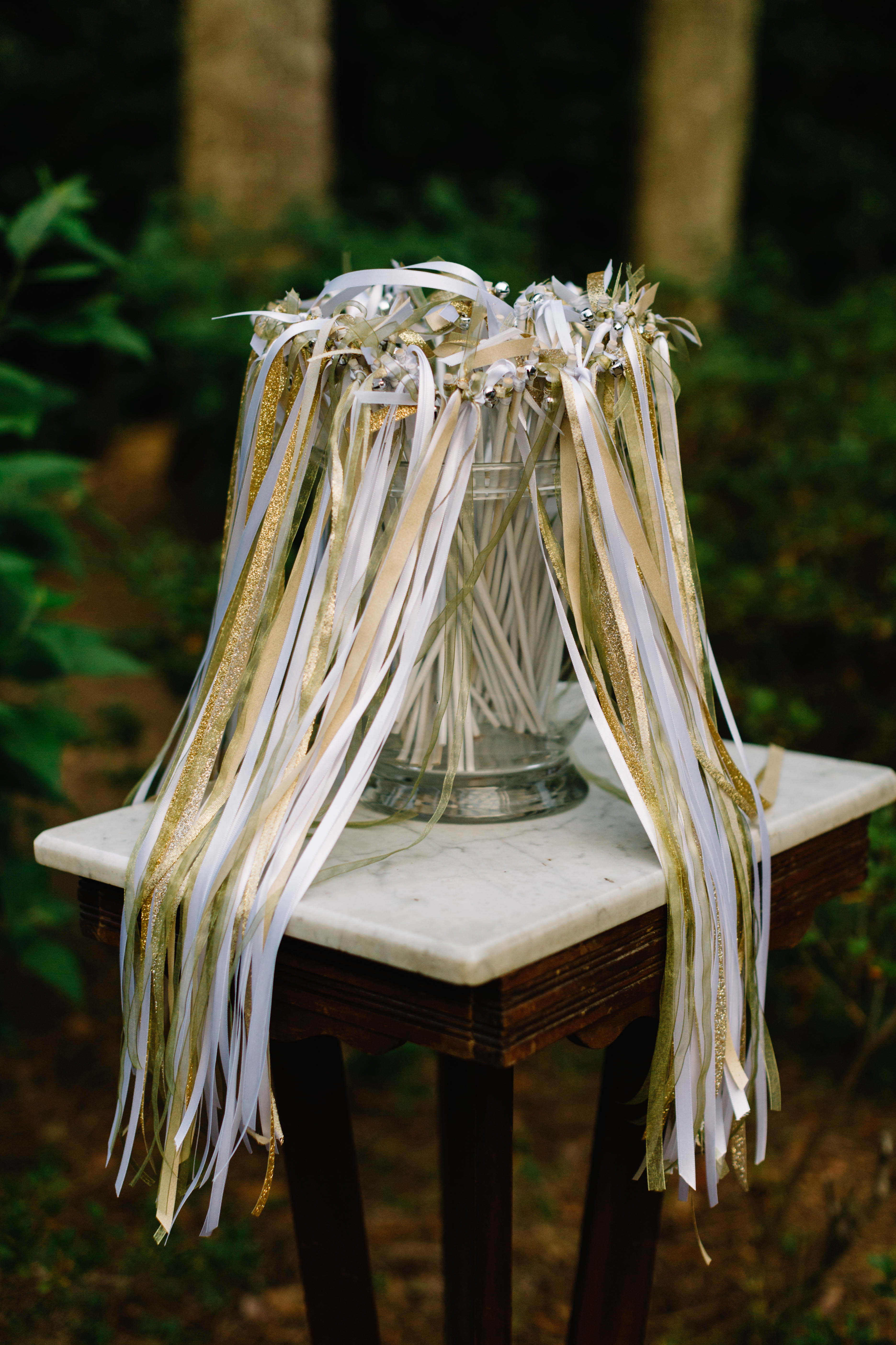 Tallahassee Alfred B. Maclay Gardens State Park Wedding, Carolyn Allen Photography