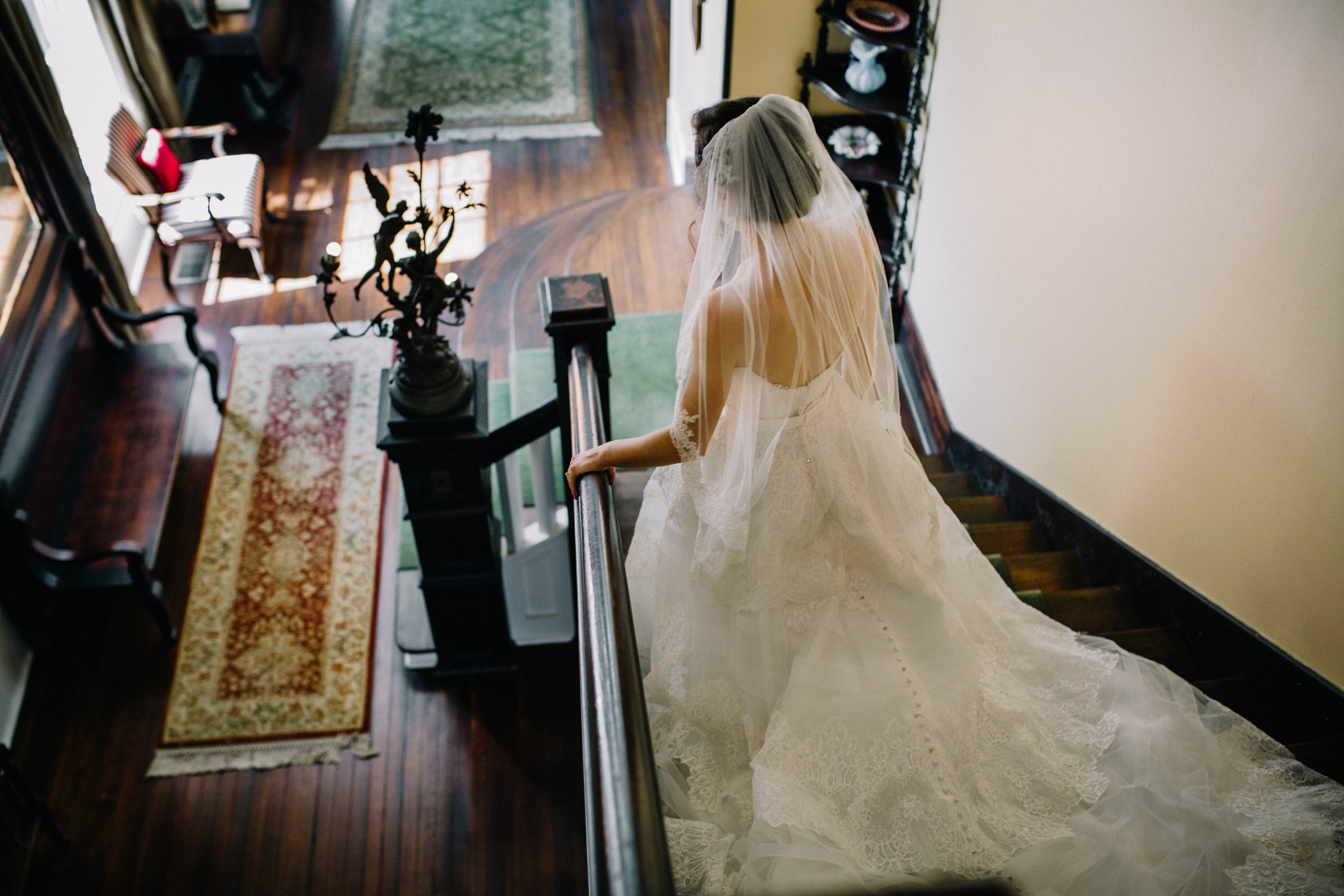 Tallahassee Alfred B. Maclay Gardens State Park Wedding, Carolyn Allen Photography