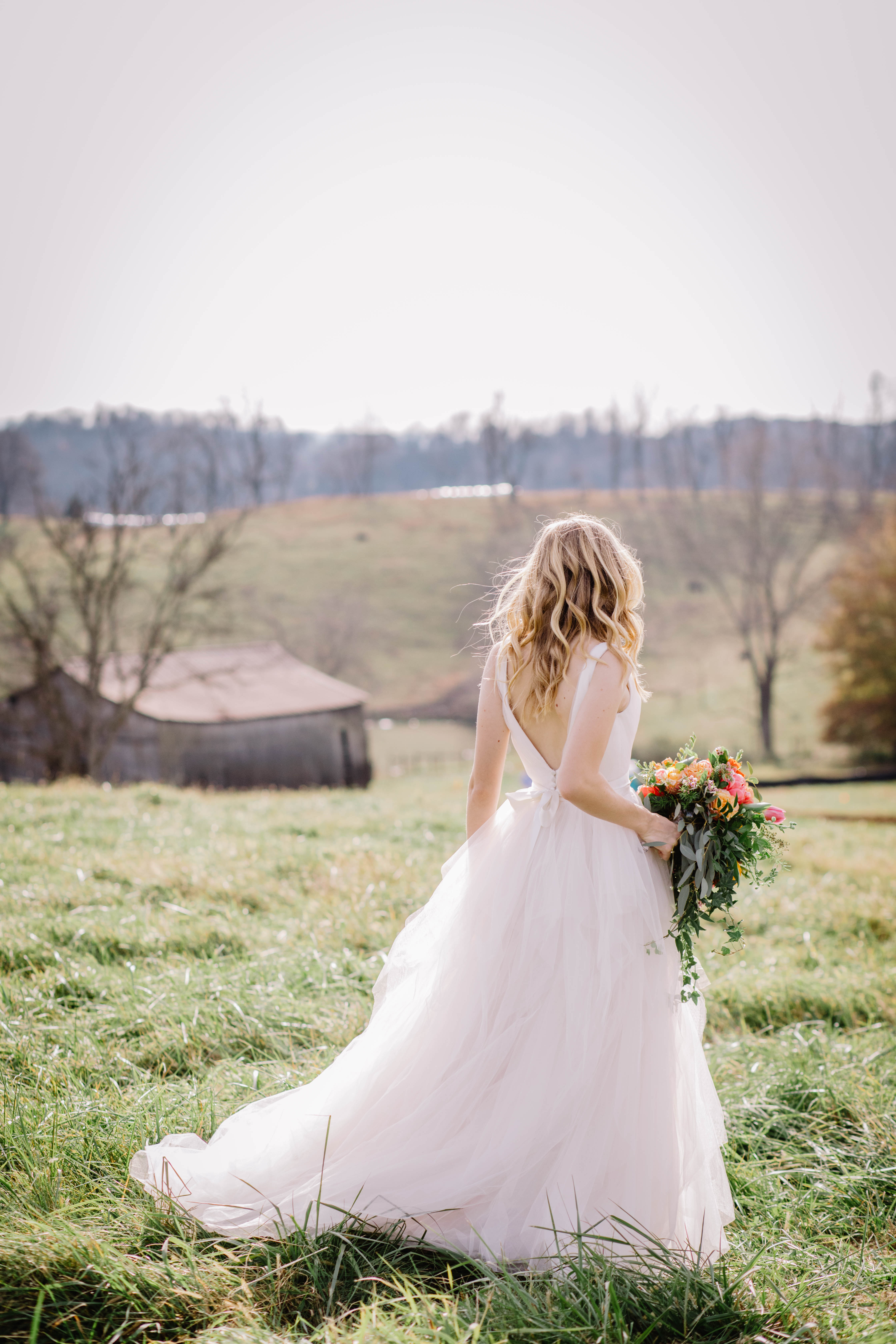 Abingdon Virginia Wedding Photographer Carolyn Allen Photography