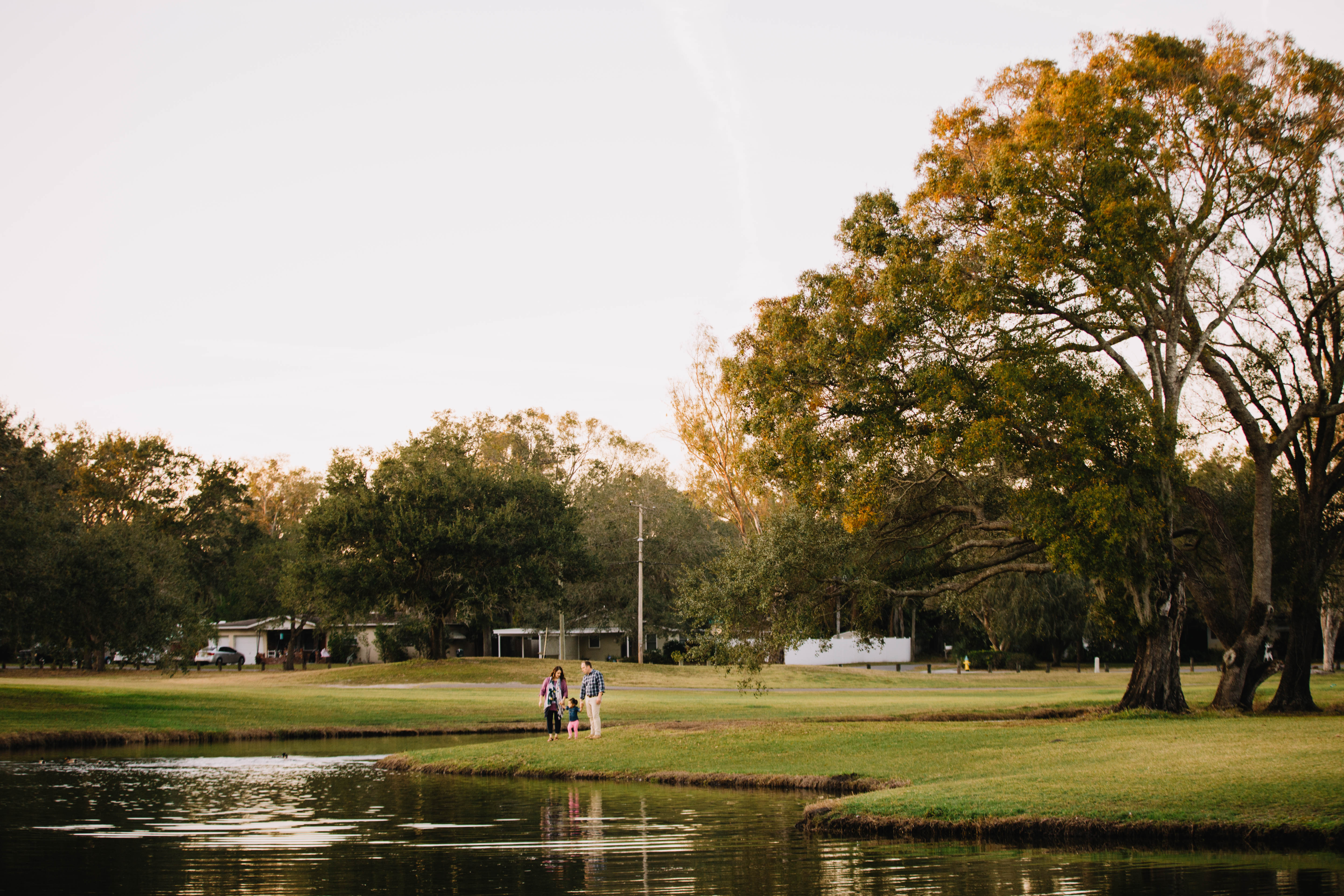 Tampa Family Photographer Carolyn Allen Photography